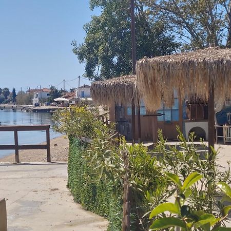 Stone Villa Inside Sea- Kids'Land Platanídia Kültér fotó